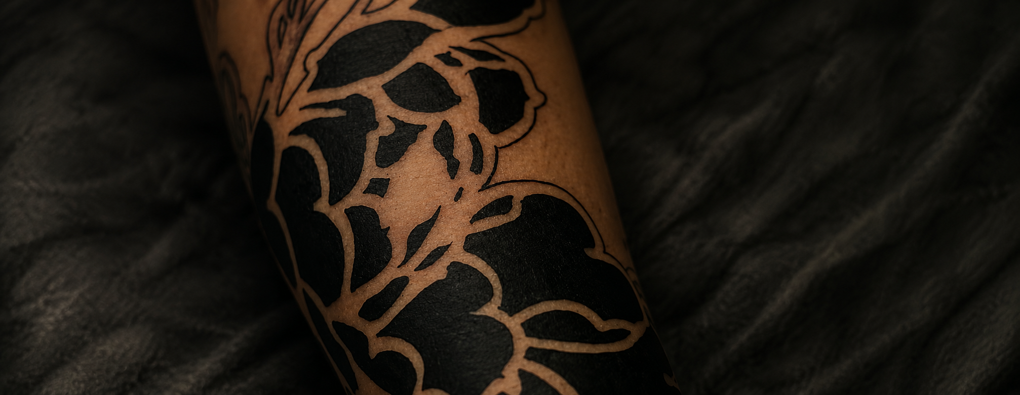 Trabalho 05 de Krauser
